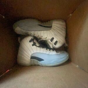 Jordan 12 wolf grey White and Gray High-Top Sneakers